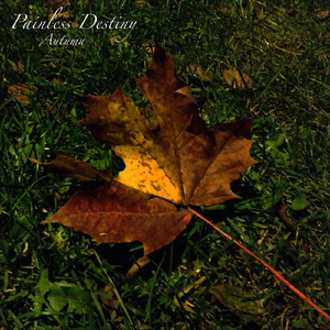 有一个老太婆和小伙子黄色毛片演一个有一个小伙子黄色毛片
